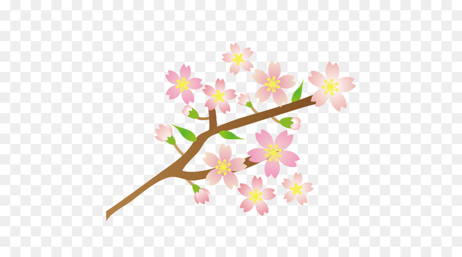 Flor，Florescer PNG