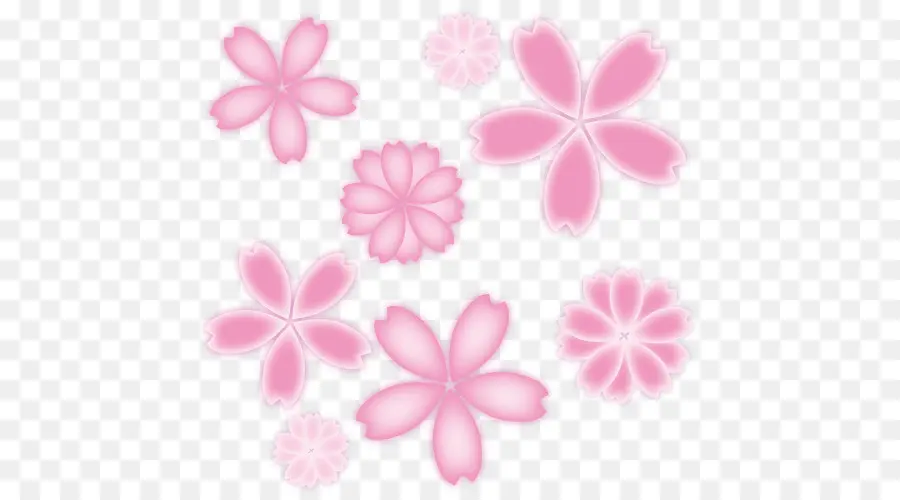 Flores Rosa，Florescer PNG