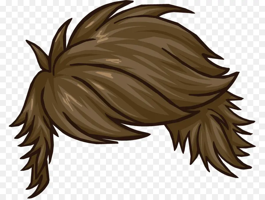 Peruca，Cabelo PNG