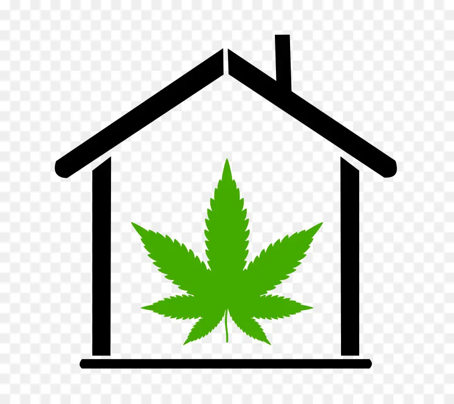 Cultivo Caseiro De Cannabis，Interior PNG