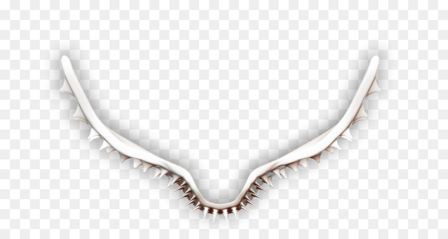 Necklace，Joalharia PNG