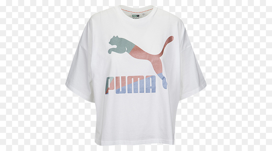 Tshirt，Capuz PNG
