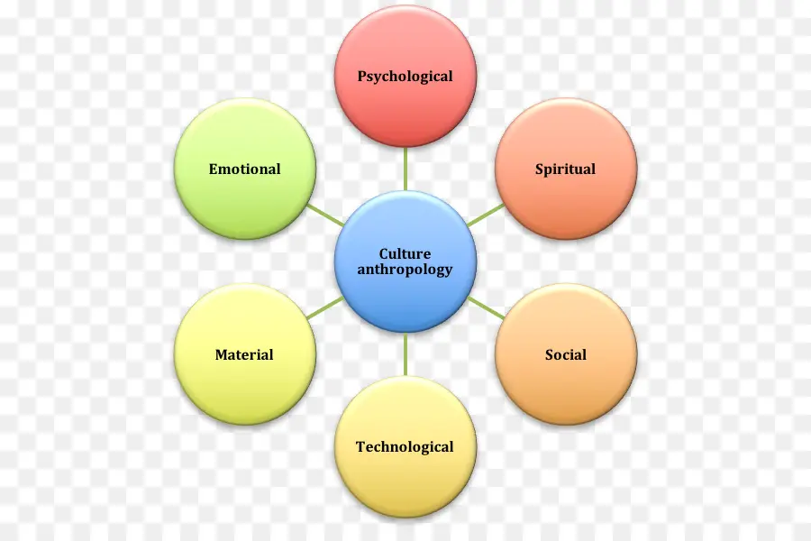 Diagrama De Antropologia Cultural，Cultura PNG