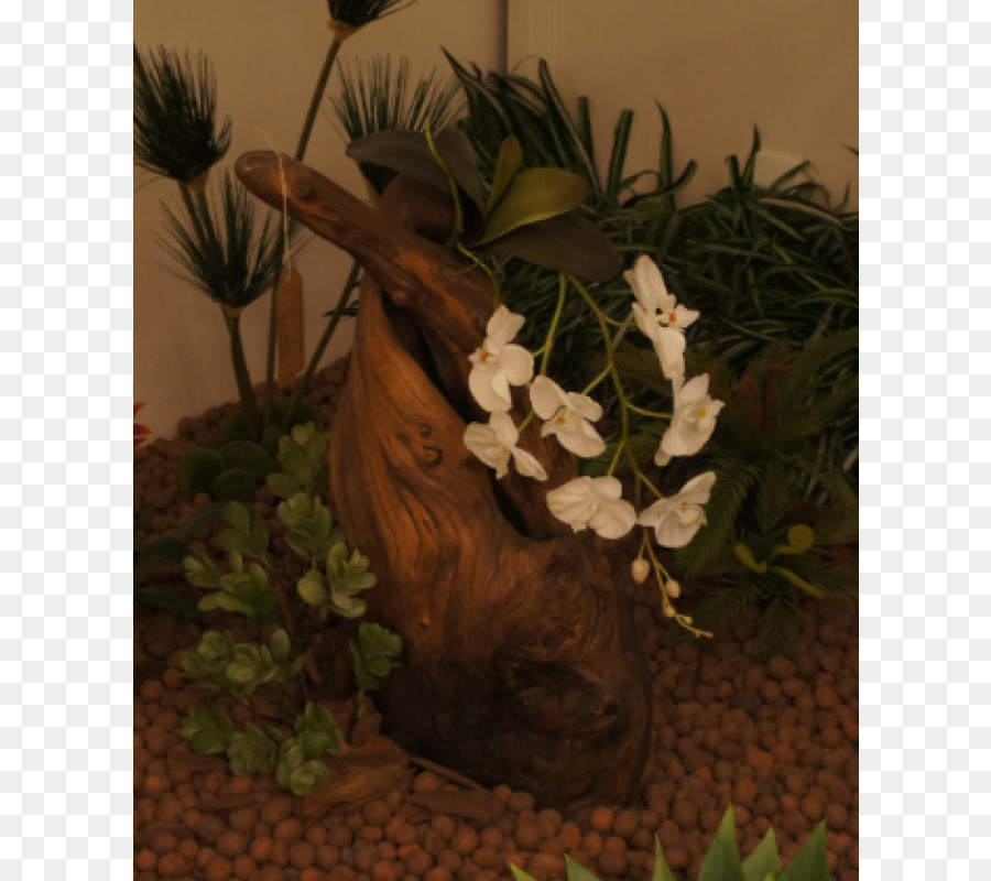 Flowerpot，Flor PNG