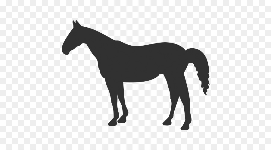 Cavalo，Equino PNG