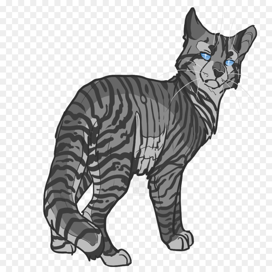 Gato，Felino PNG