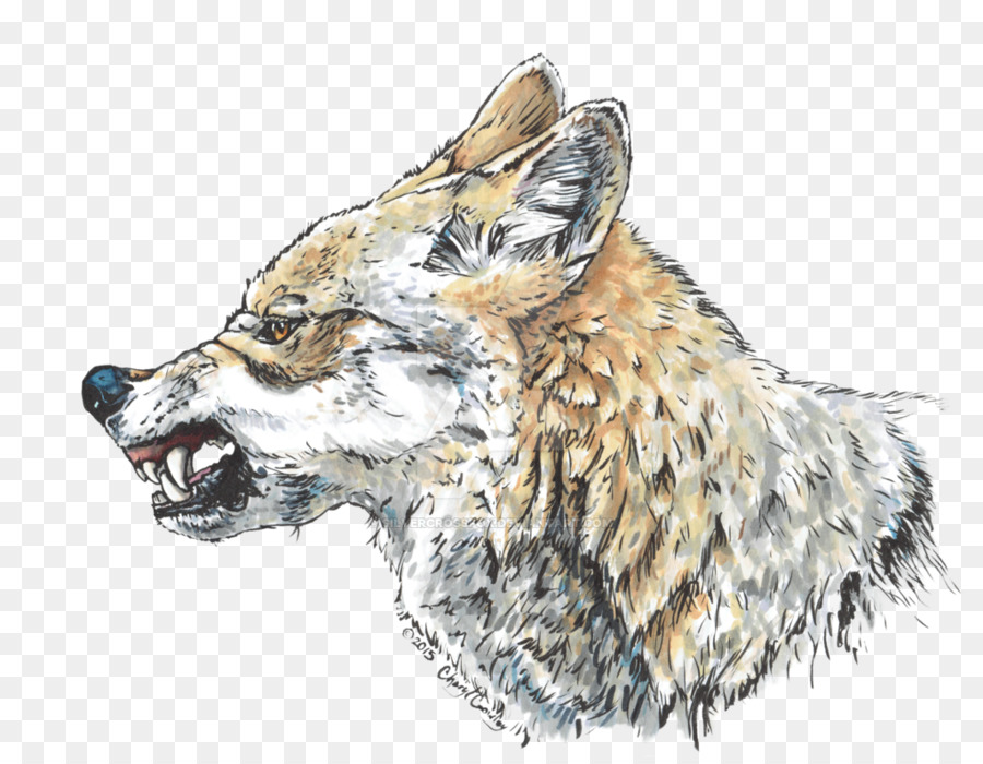 Raposa Vermelha，Lobo PNG