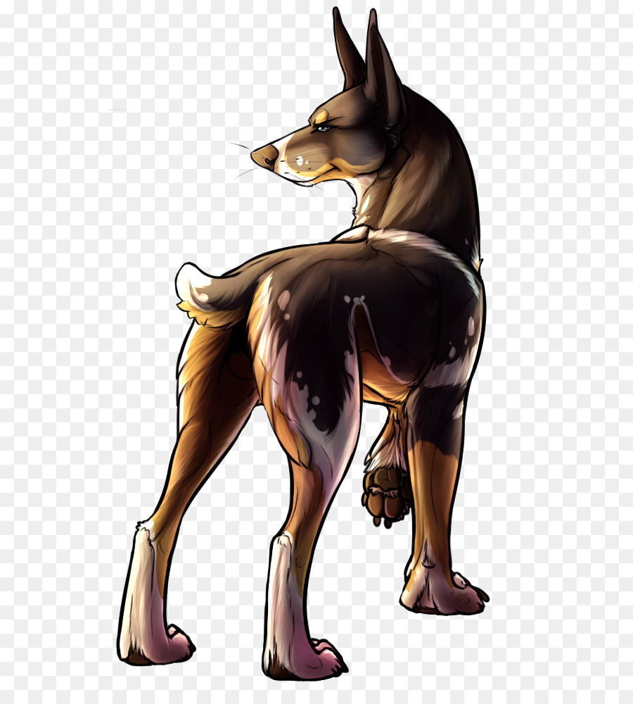 Raça Do Cão，Cachorro PNG