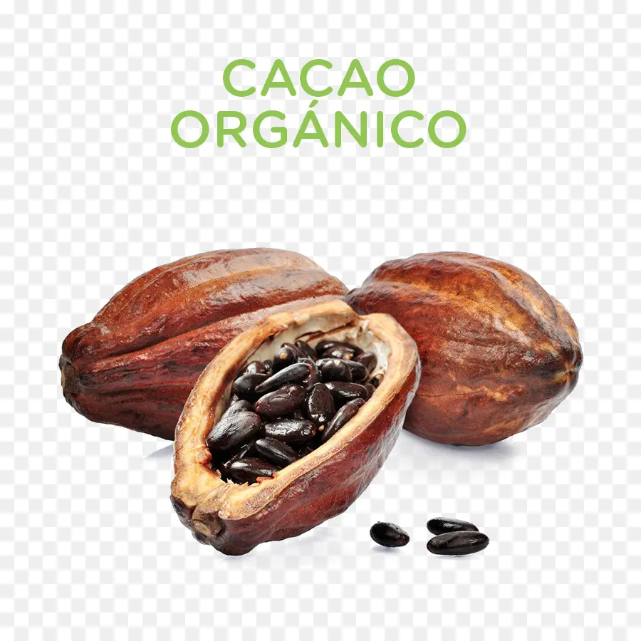 Chocolate Quente，árvore De Cacau PNG