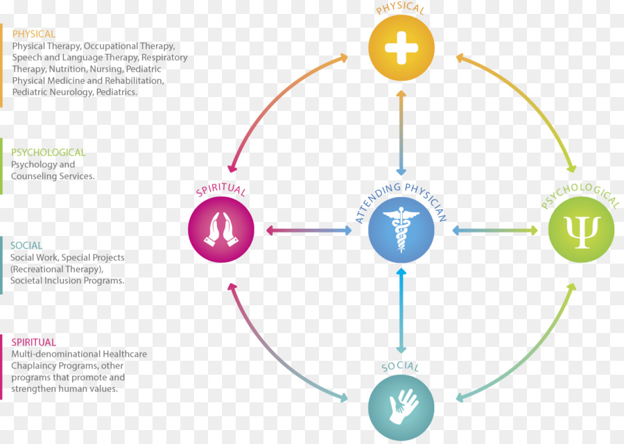 Medicina Física E De Reabilitação，Logo PNG