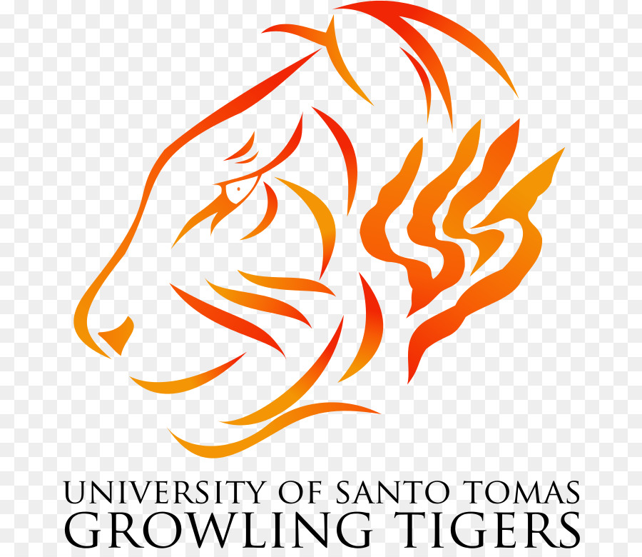 Logotipo Dos Tigres Rosnando，Universidade PNG