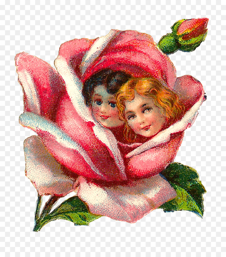 As Rosas Do Jardim，Rosa PNG