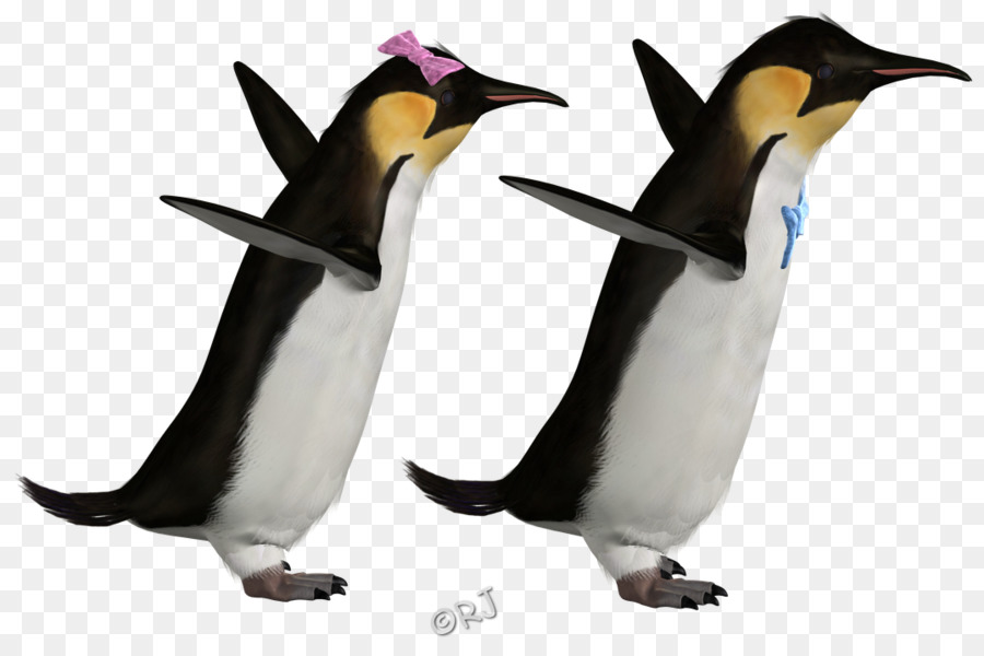 Pinguim Rei，Penguin PNG