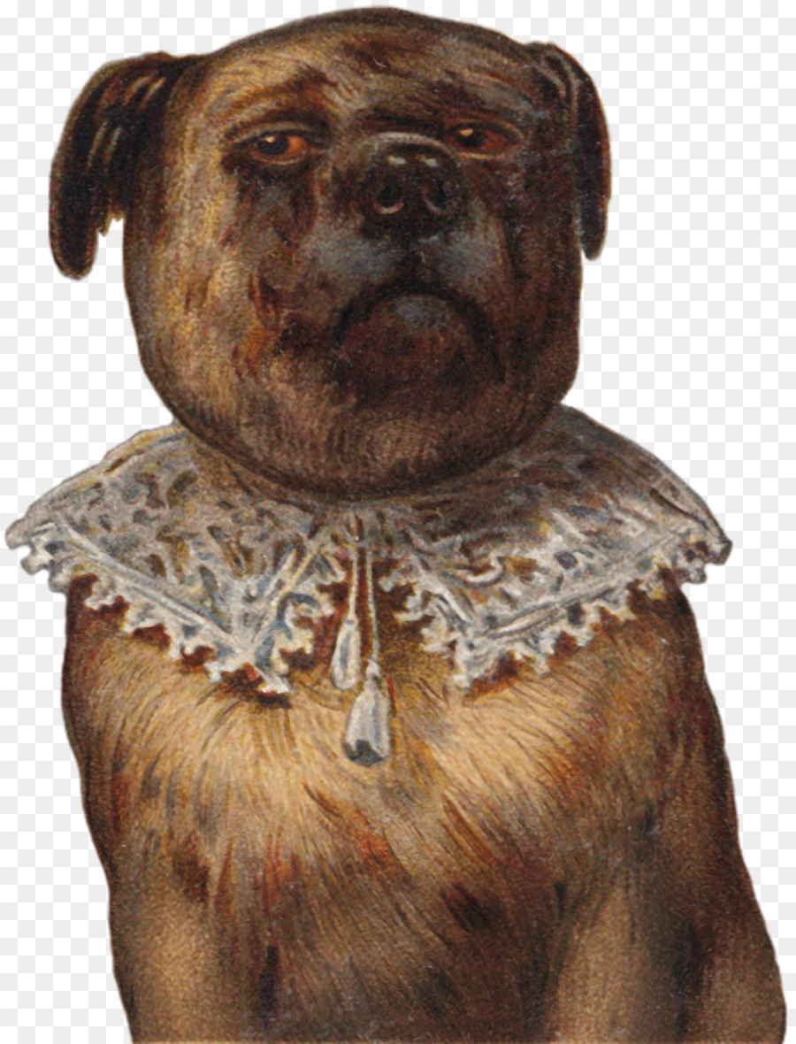 Raça Do Cão，Cachorro PNG