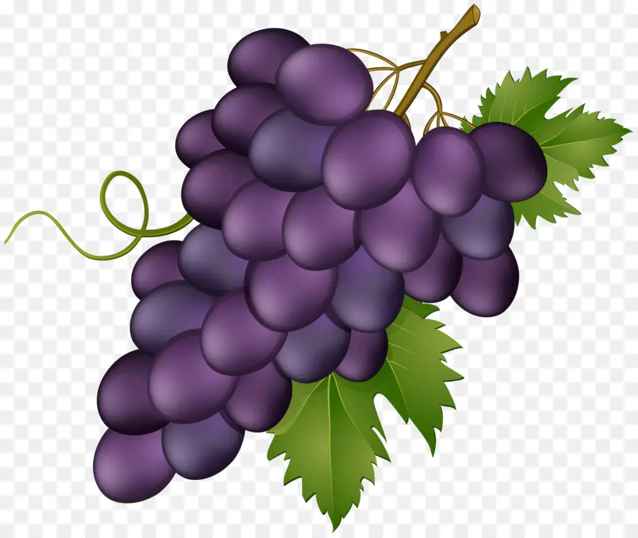 Uva，Vinho PNG