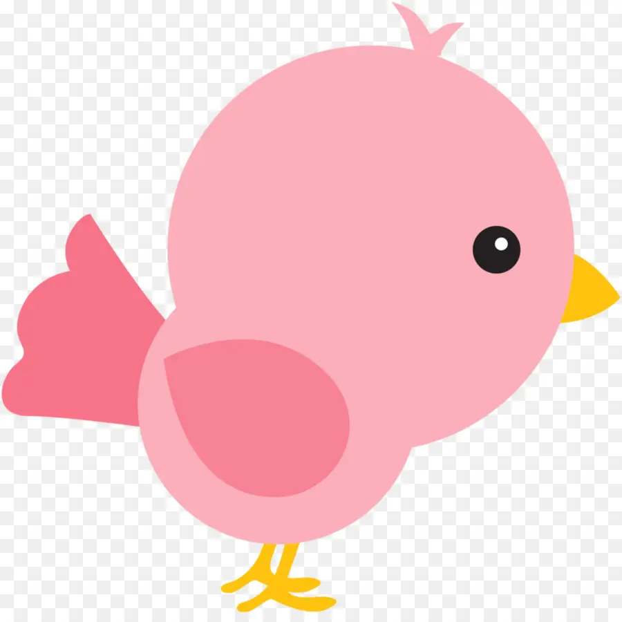 Pato，Aves PNG