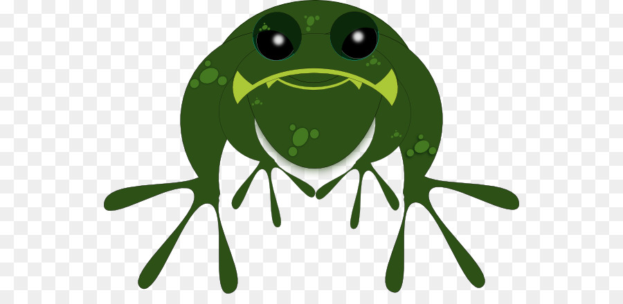 Sapo，Tree Frog PNG