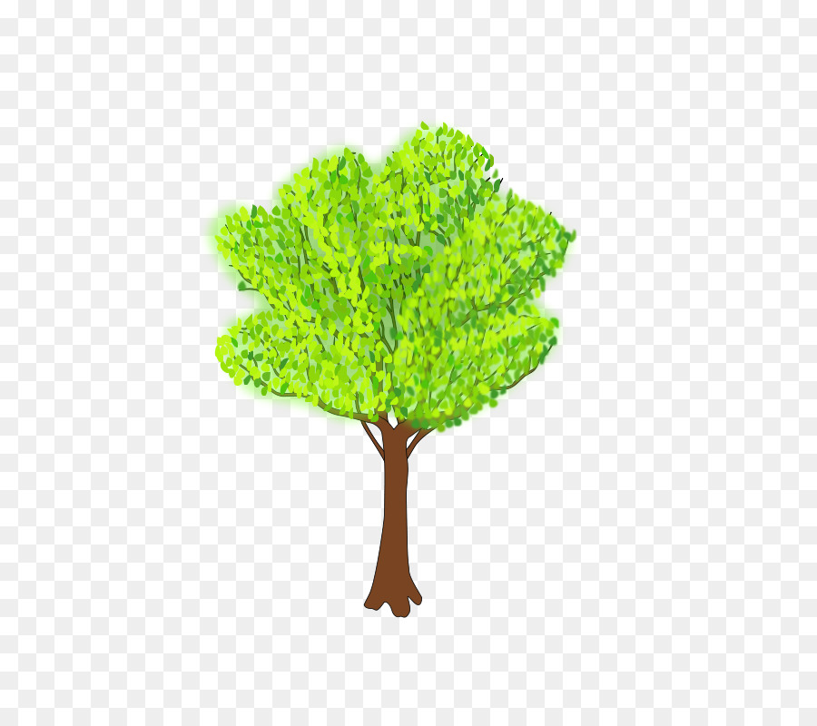 árvore，Floração Dogwood PNG