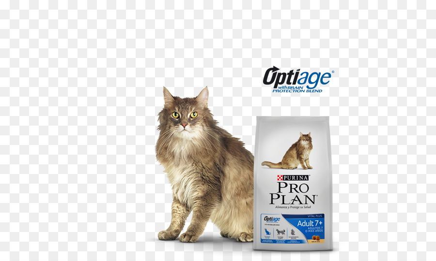 Maine Coon，Bigodes PNG