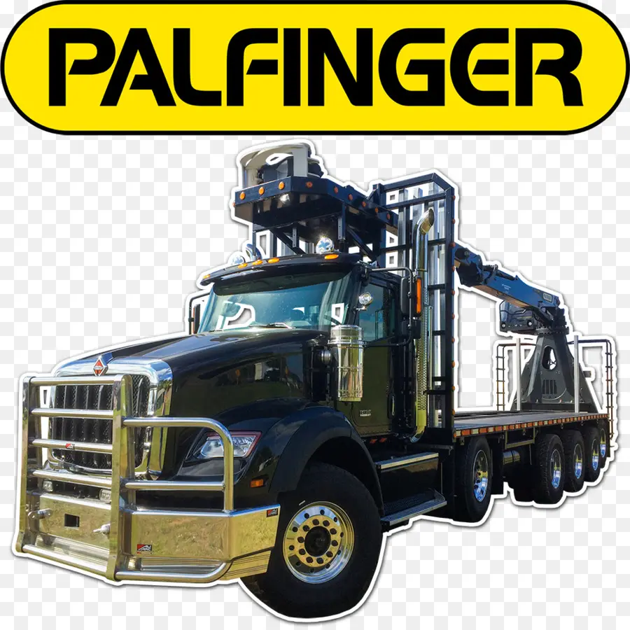 Palfinger，Palfinger Sany Internacional De Guindastes Móveis Vendas Gmbh PNG