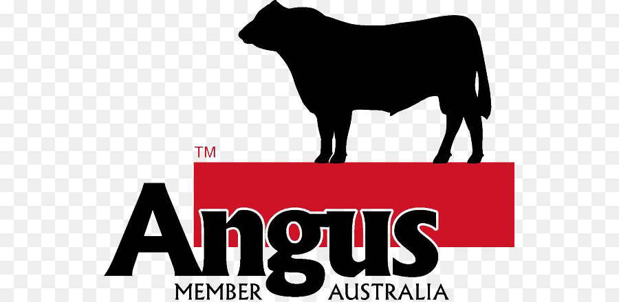 Angus Gado，Logo PNG