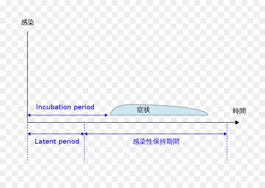 O Período De Incubação De，Infecção PNG