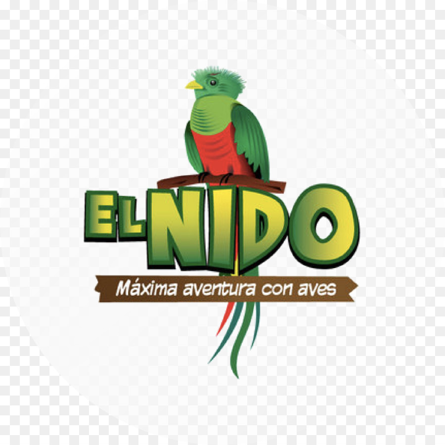 El Nido, Logo, Arara png transparente grátis