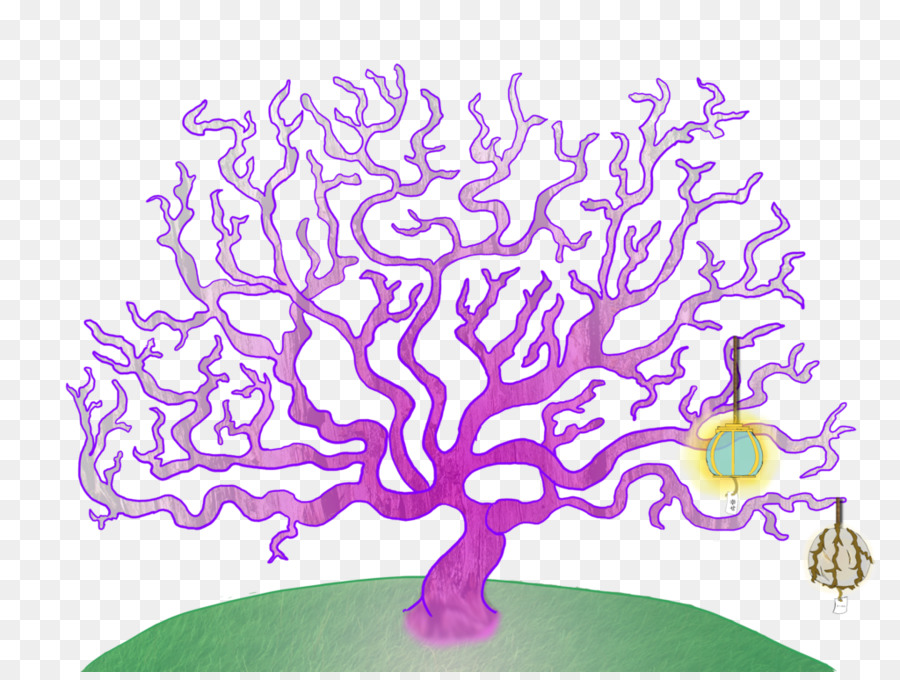 Roxo，A Floração Da Planta PNG