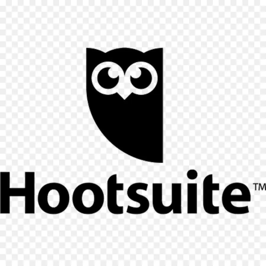 Logotipo Da Hootsuite，Marca PNG