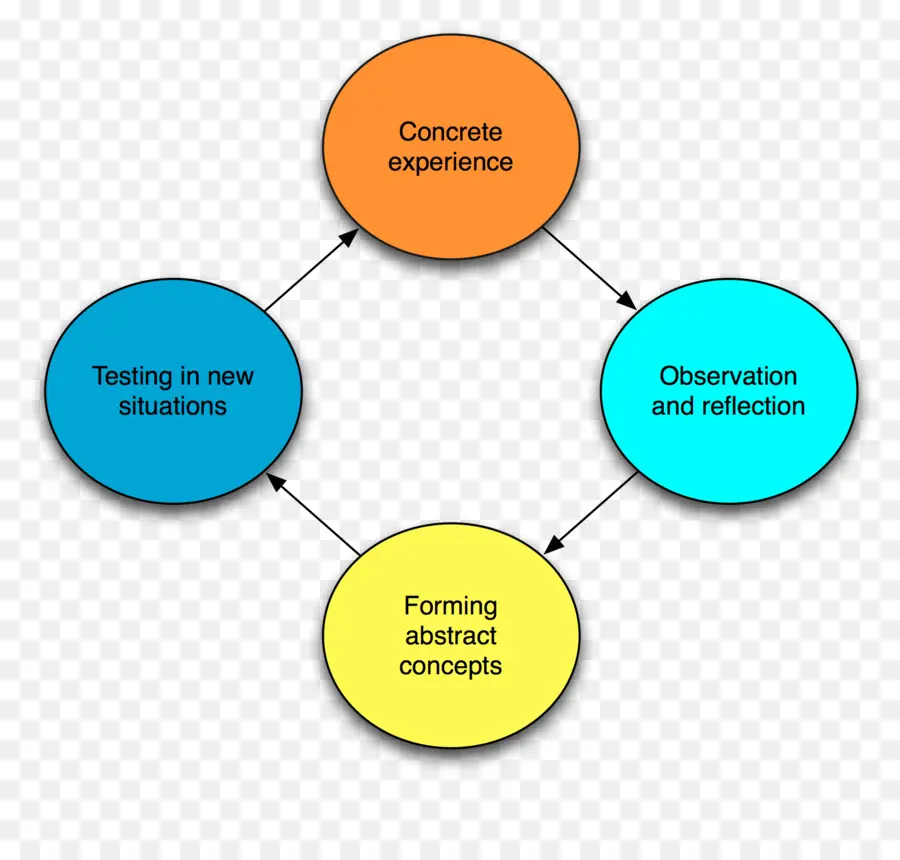 Kolb Da Aprendizagem Experiencial，O Ciclo De Aprendizagem PNG