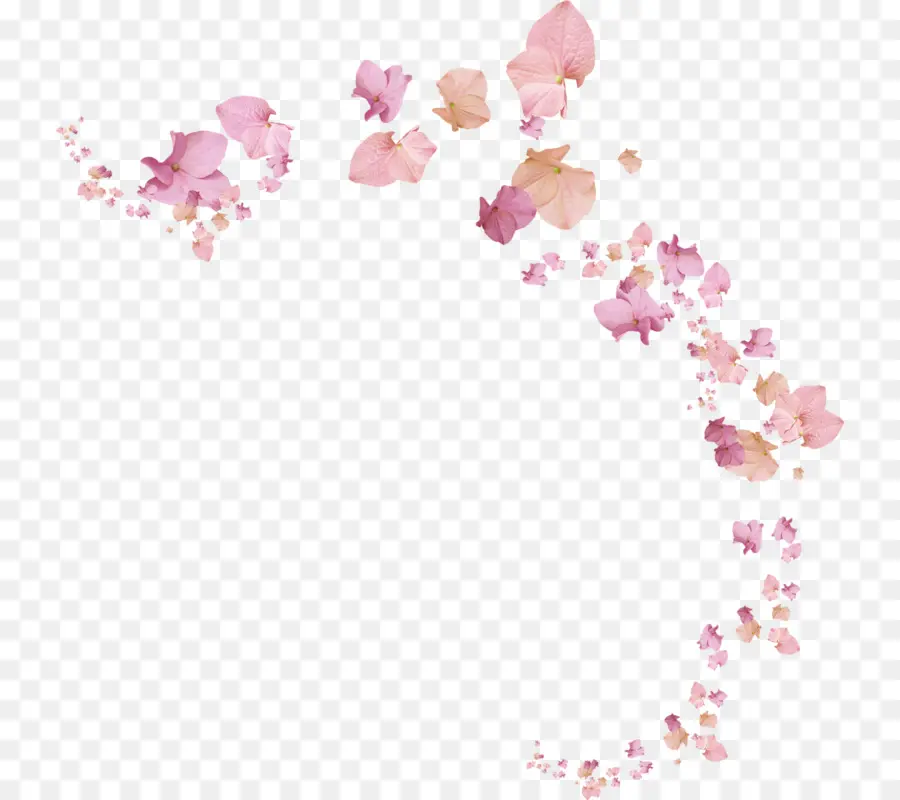 Flor，Internet PNG