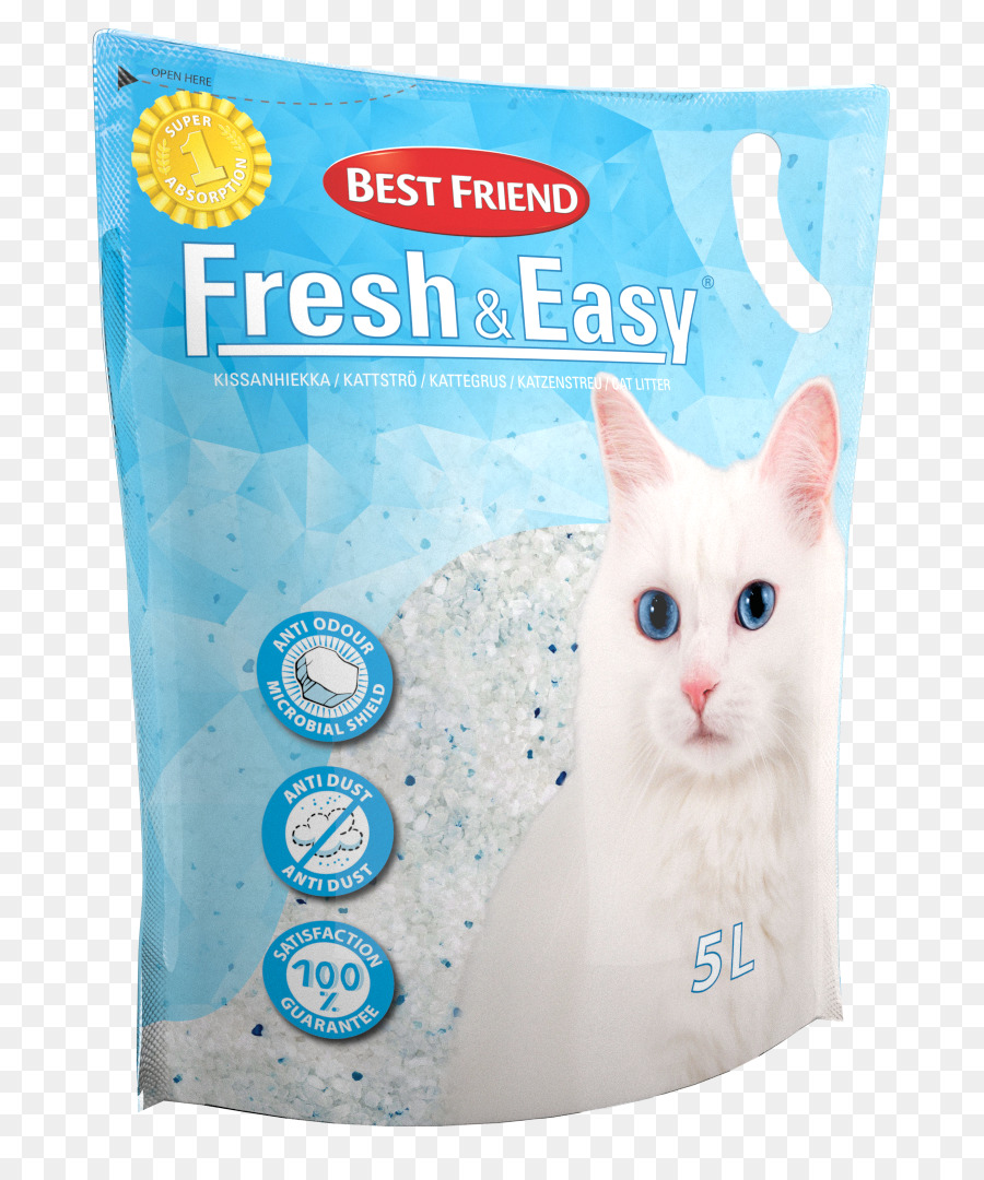 Gato，A Maca De Gato Bandejas PNG