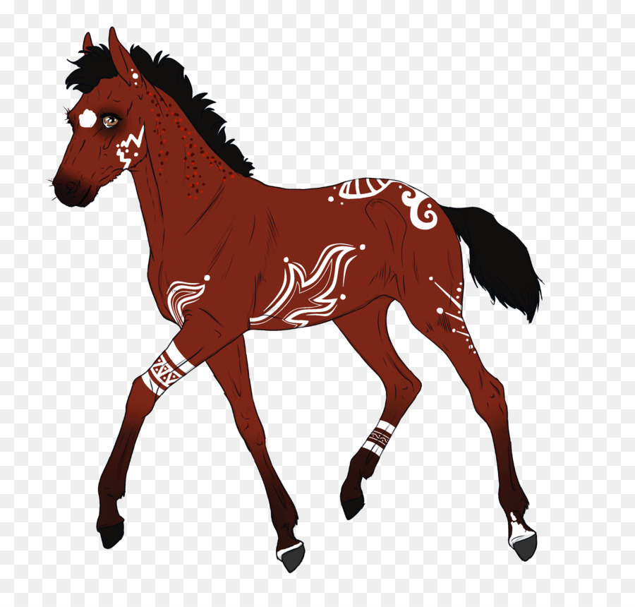 Cavalo，Equino PNG