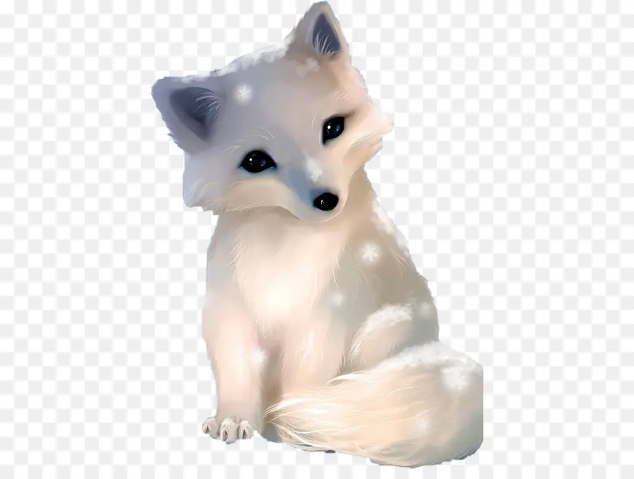 Raposa Do ártico，Filhote De Cachorro PNG