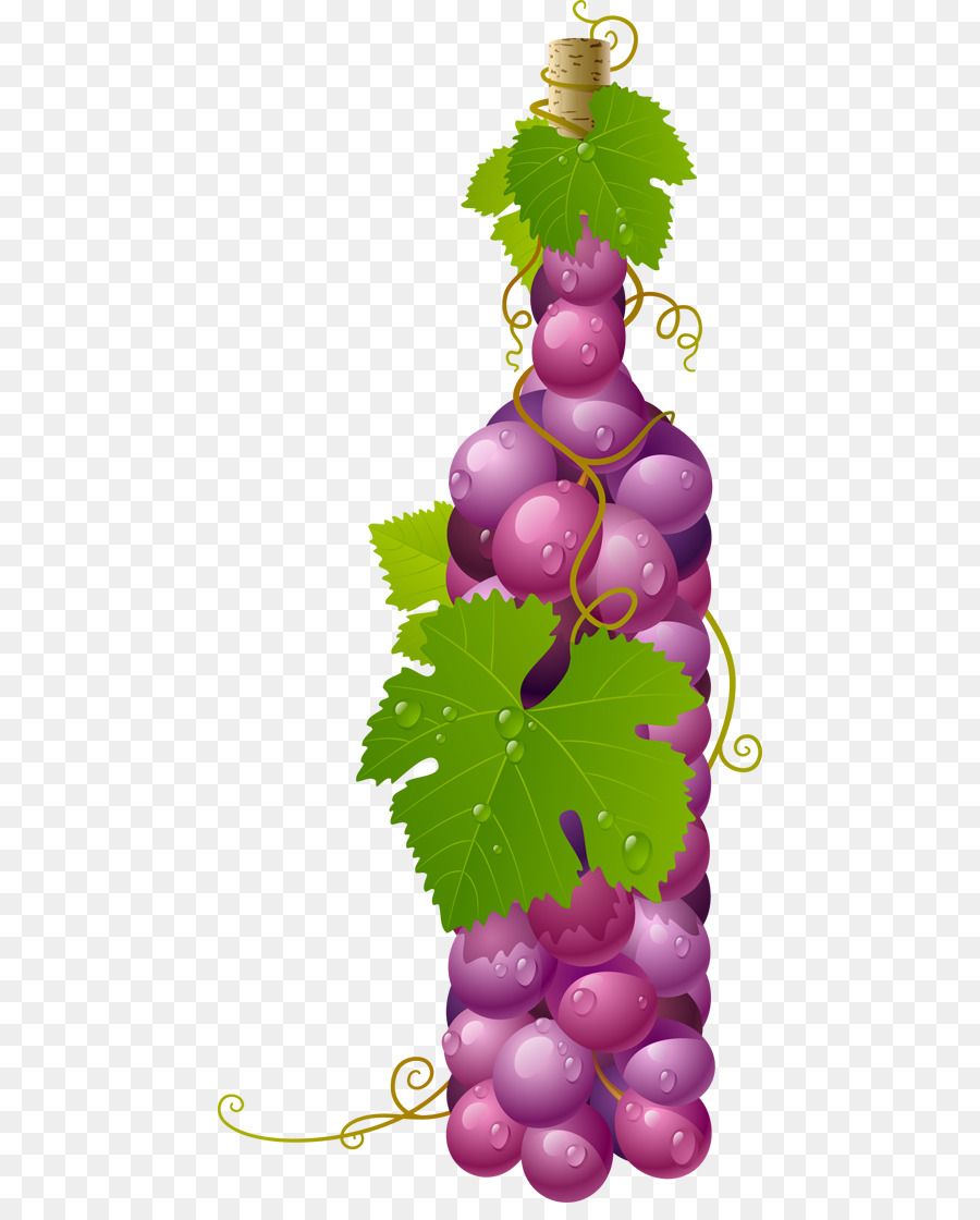 Garrafa De Uva，Vinho PNG