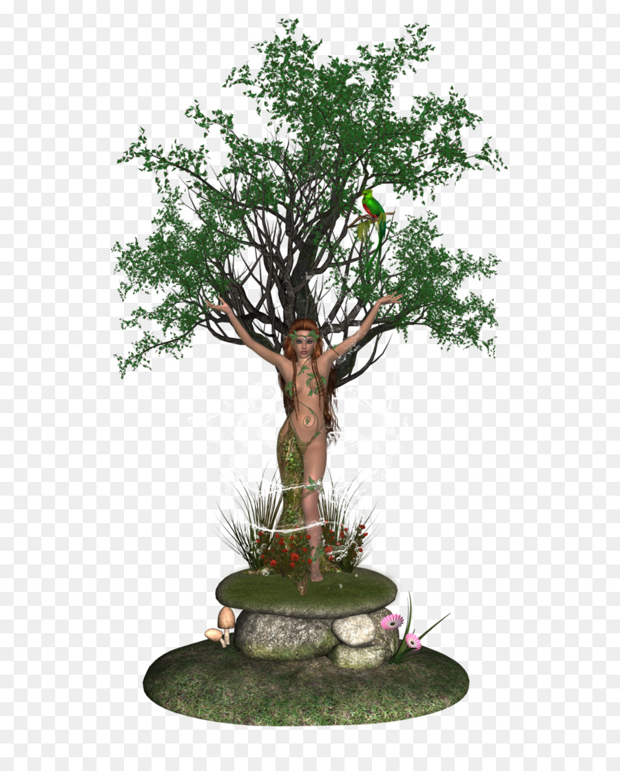 Bonsai，árvore PNG