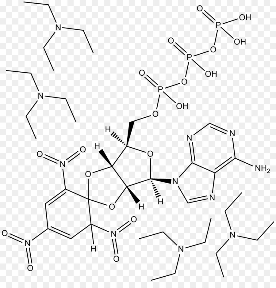 Estrutura Química，Molécula PNG