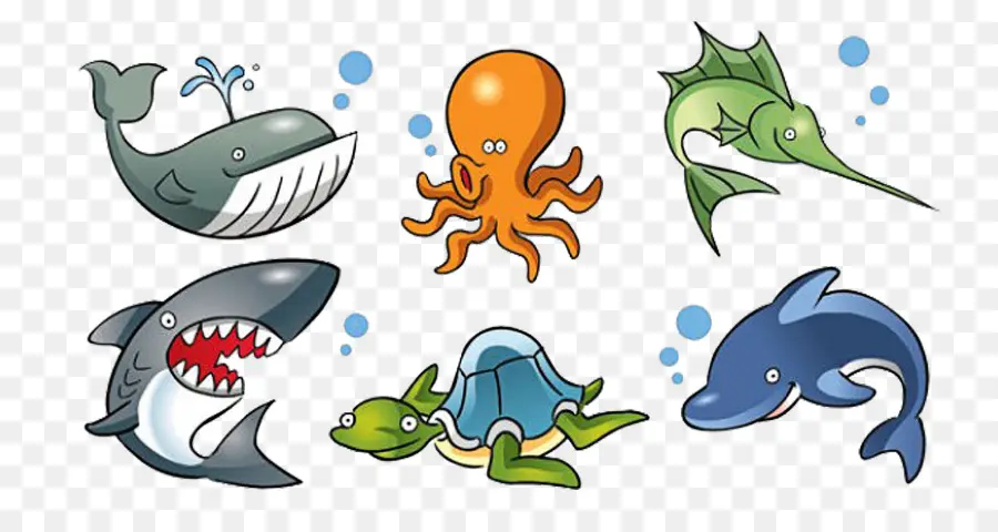 Criaturas Do Mar，Animais Aquáticos PNG