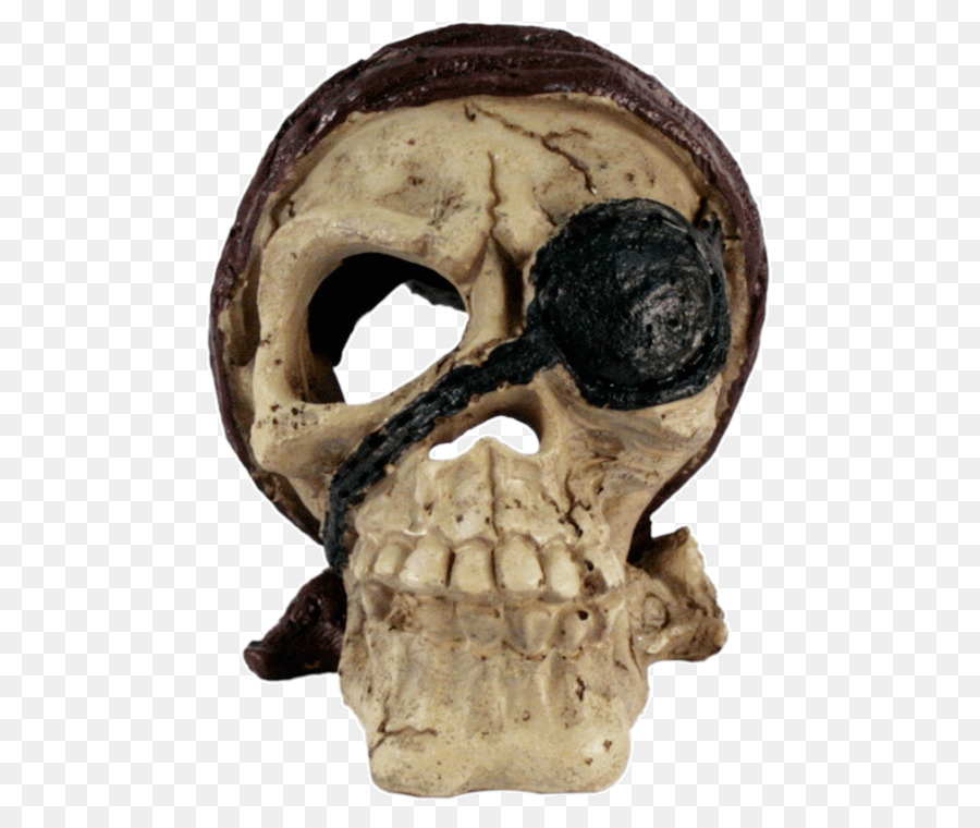 Calavera，Crânio PNG