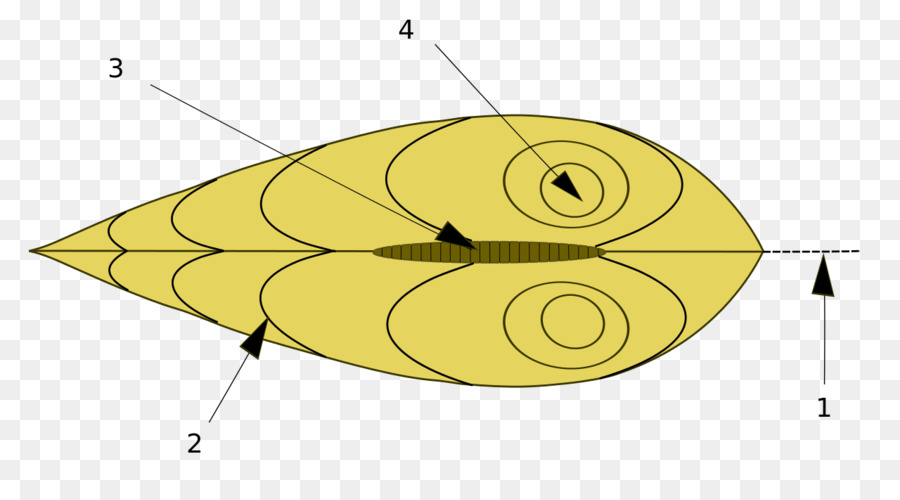 Diagrama Aerodinâmico，Aerodinâmica PNG