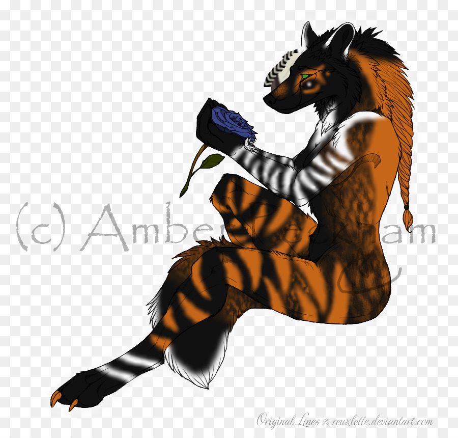Tigre，Gato PNG