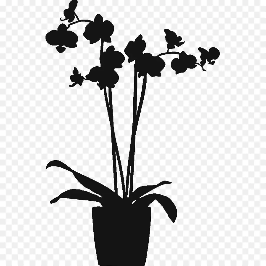Ldap Orquídeas Em Vasos De Filme De Proteção De Grandes 48x120cm，Janela PNG