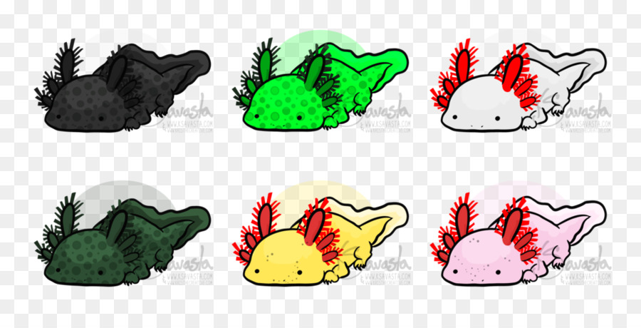 Variantes De Axolote，Axolote PNG