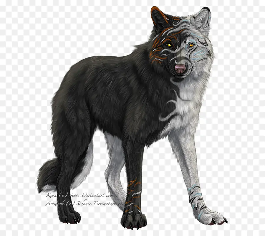 Lobo，Selvagem PNG