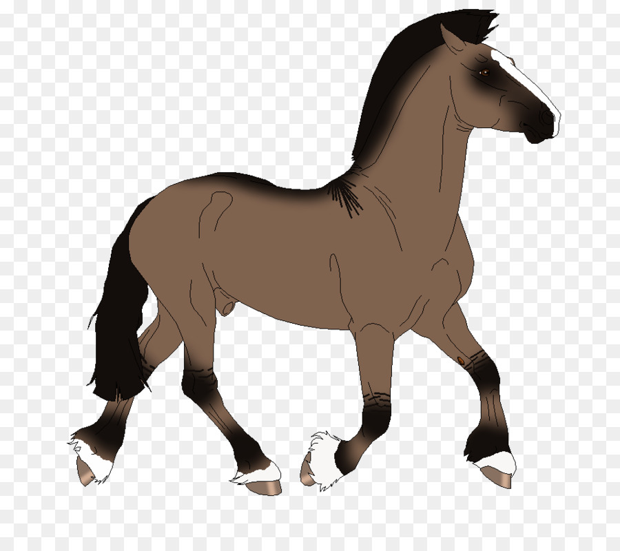 Cavalo，Equino PNG