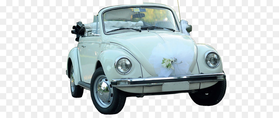 Volkswagen Beetle，Carro PNG