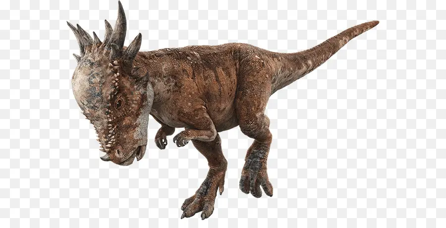Velociraptor，Jurassic Evolução Mundial PNG