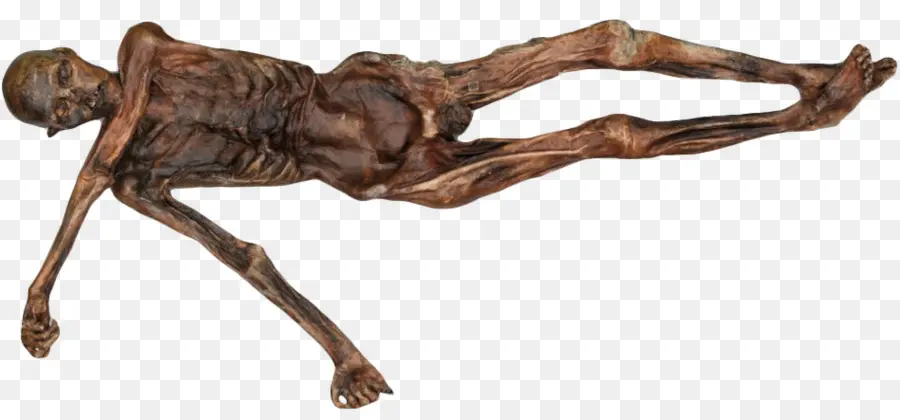 Ötzi O Homem De Gelo，Pré História PNG
