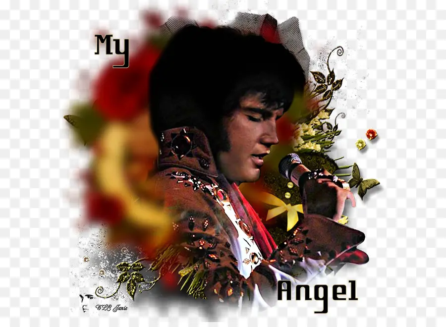 Elvis Presley，Elvis PNG