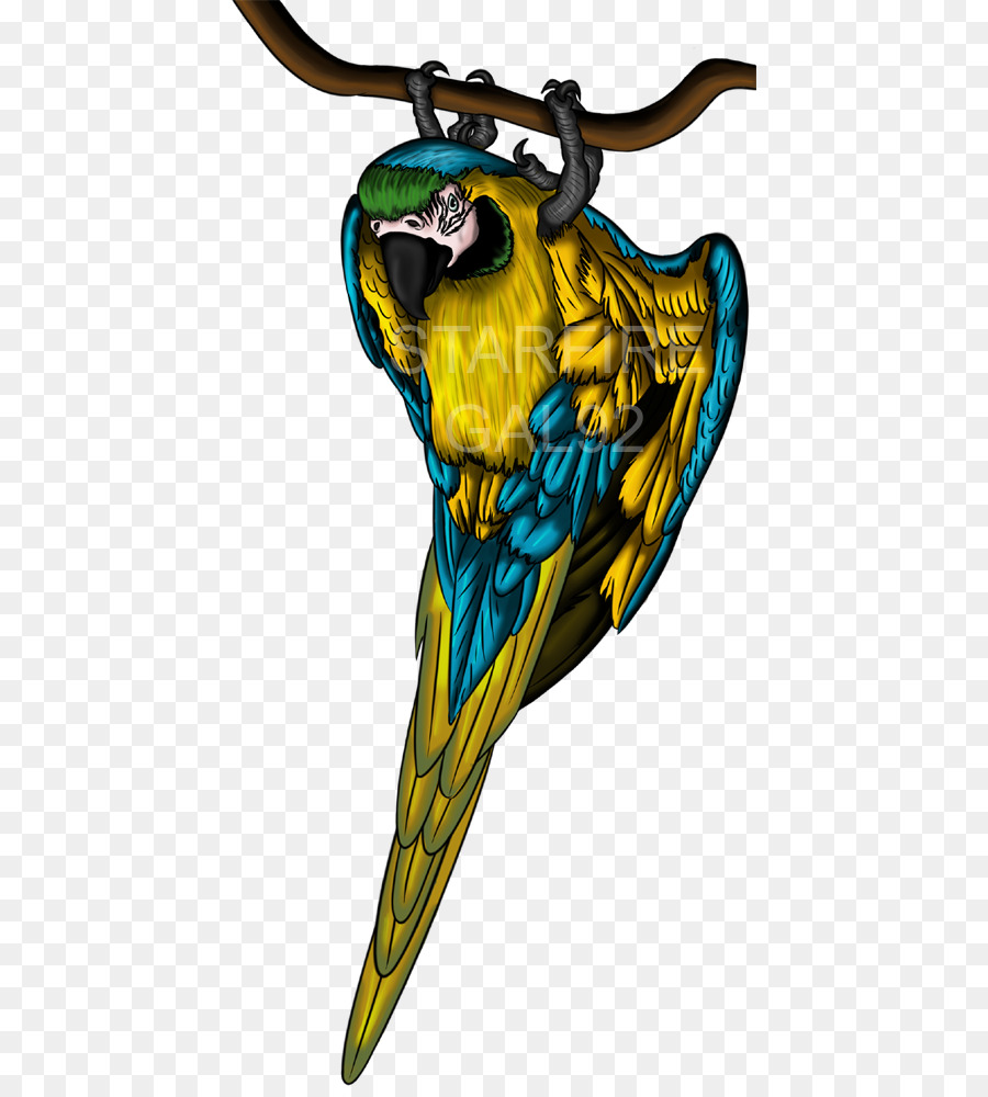 Arara，Blueandyellow Arara PNG